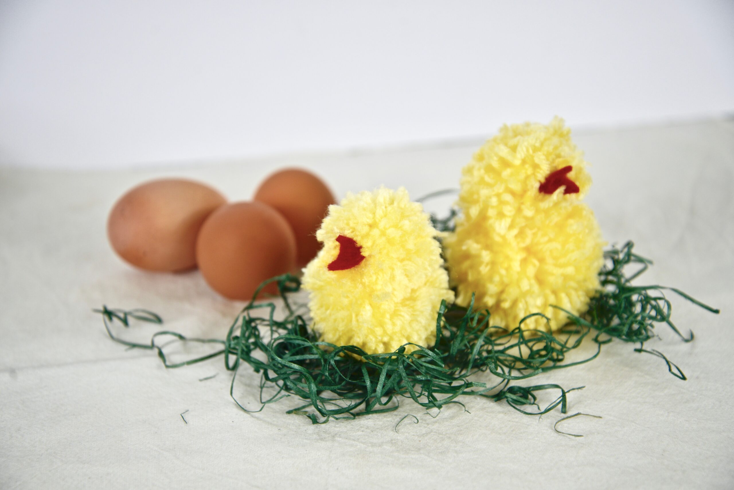 pom pom chicks with eggs