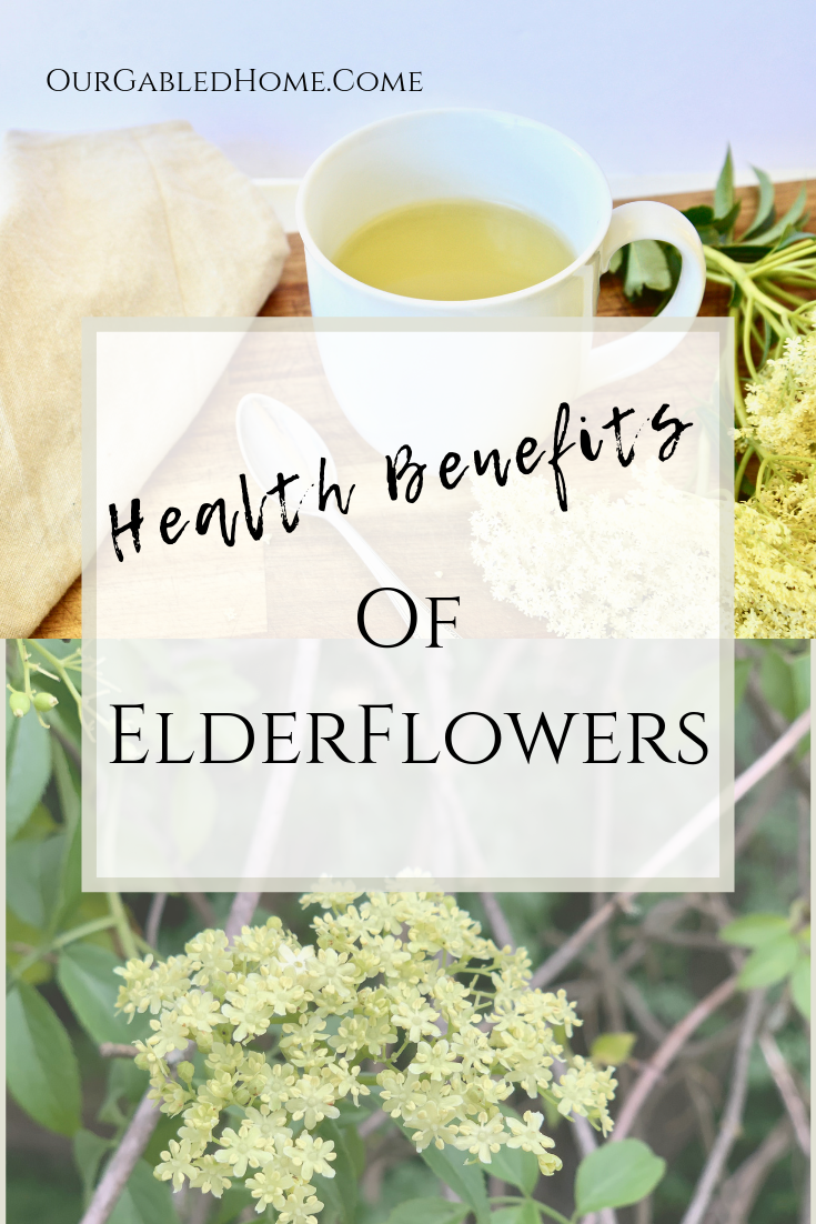 Health Benefits of Elder Flowers