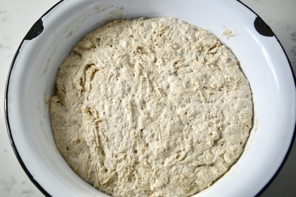 sourdough dough rising in bowl