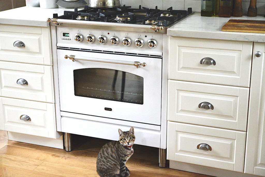 Ilve farmhouse stove in white kitchen with grey cat