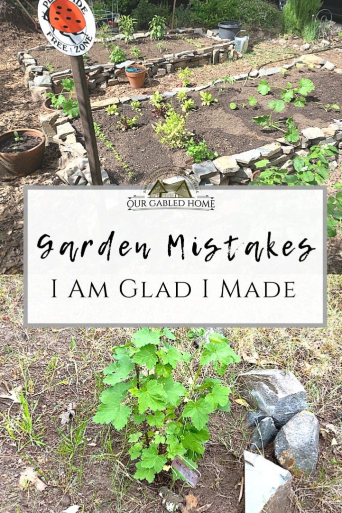 5+ Garden Mistakes I am Glad I Made