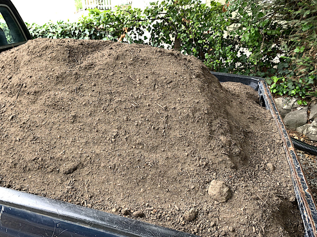 garden soil