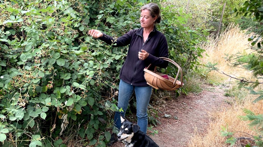 wearing fleece to pick blackberries