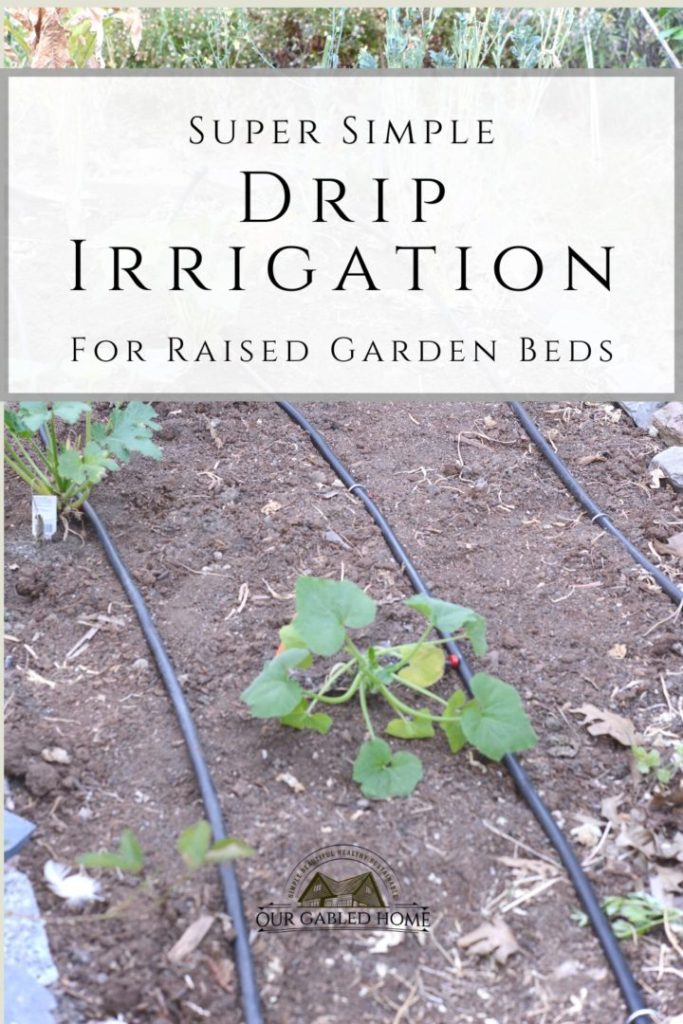 Super simple drip irrigation setup for raised garden beds